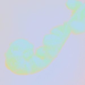 Nook - Single
