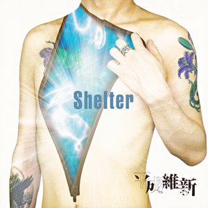 Image for 'Shelter'