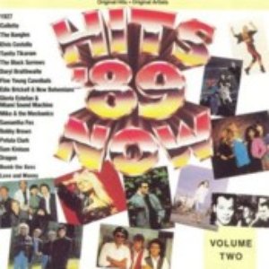 Hits Now '89 Volume 2