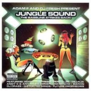 Jungle Sound - The Bassline Strikes Back