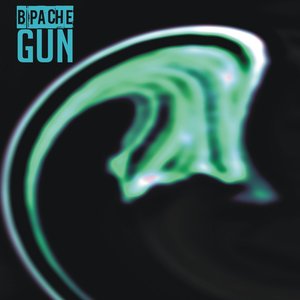 Gun