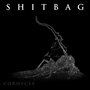 Cordycep