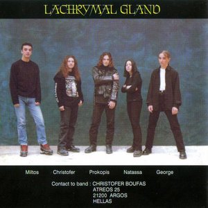 Lachrymal Gland 的头像