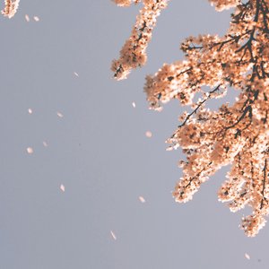 Late Spring - Single