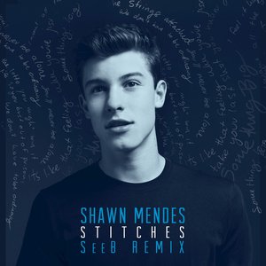 Stitches (SeeB Remix) - Single
