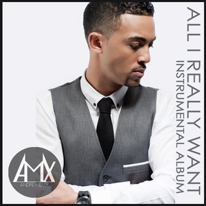 All I Really Want (Instrumental Album)