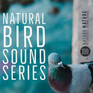 Natural Bird Sound Series