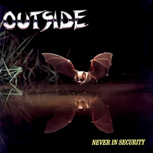 Never In Security