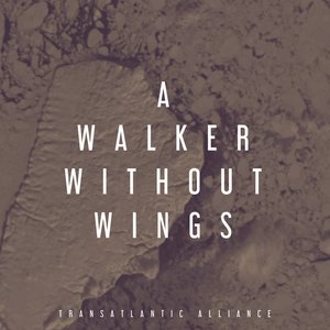 A Walker Without Wings