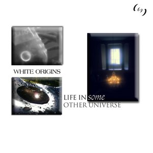 Life in Some Other Universe