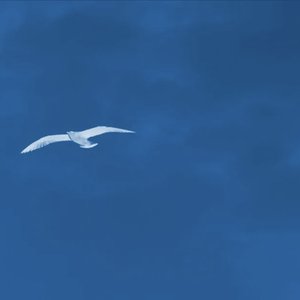 模式