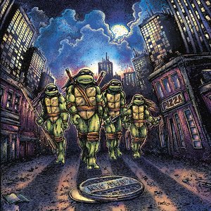 Teenage Mutant Ninja Turtles (Vinyl Edition)