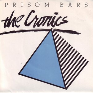 Prisom Bars