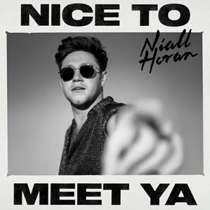 Niall Horan - Nice To Meet Ya Lyrics - Zortam Music