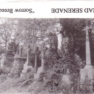 Sorrow Breeds