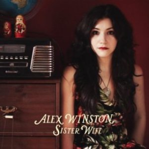 'Sister Wife - The Remixes' için resim