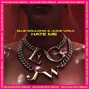 Hate Me (Snakehips Remix) - Single