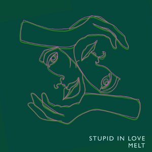 Stupid in Love