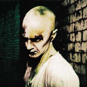 Wongraven Vs Päronsoda 的头像