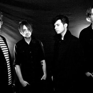 The Black Dove Experiment 的头像