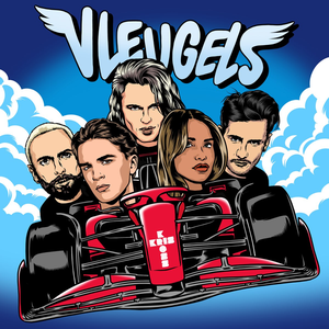 Artwork for Vleugels