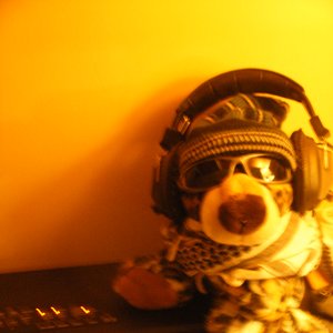 Avatar for TG - Informazione Musicale