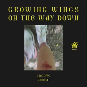 Growing Wings On The Way Down