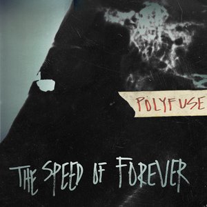 The Speed Of Forever