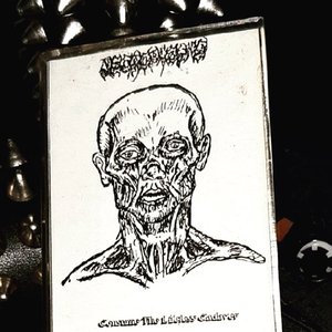 Consume The Lifeless Cadaver