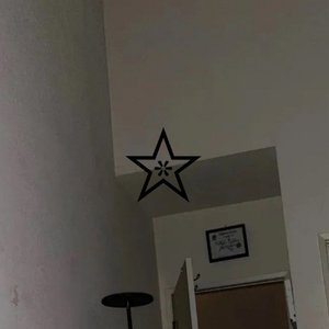 starrsign 的头像