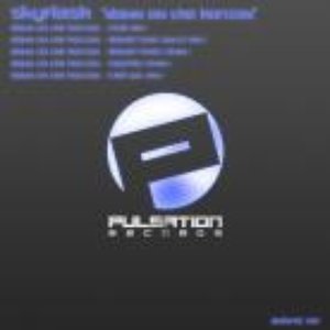 Avatar for Skyflash