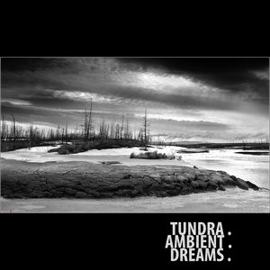 Ellipsis: Tundra.Ambient.Dreams.