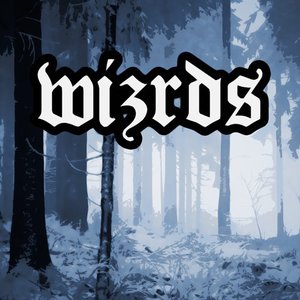 WIZRDS 的头像