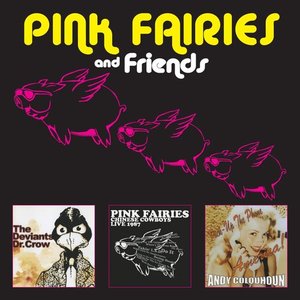 Pink Fairies and Friends [Explicit]