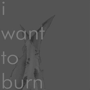 I Want To Burn - Single