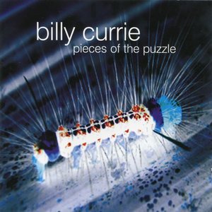 Pieces of the Puzzle