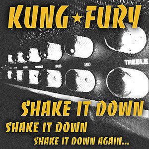 Shake It Down - Single