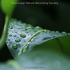 Mississippi Rain