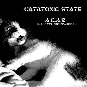 “Catatonic State”的封面