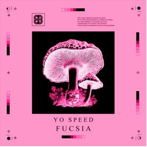 Fucsia