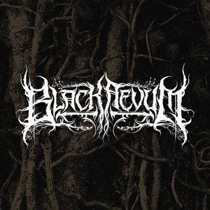 Awatar dla Black Aevum