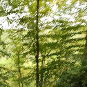 in nature, together