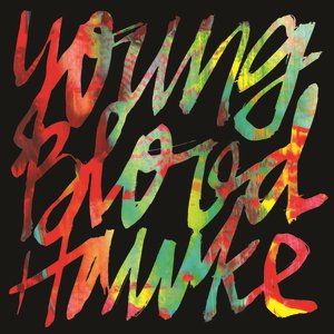 Image for 'Youngblood Hawke'