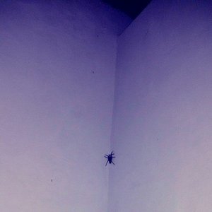 Ựntitled ∆lbum