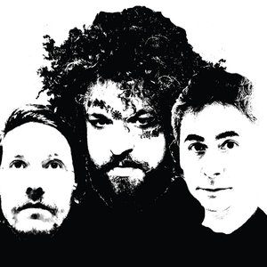 Avatar for Langan, Frost & Wane
