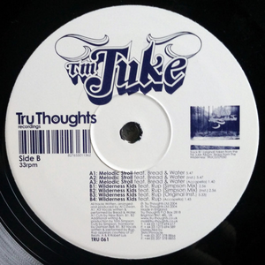 TM Juke - Melodic Stroll - Zortam Music