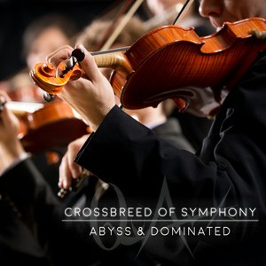 Crossbreed Of Symphony