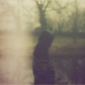 Avatar for nightkites
