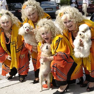 Die Jacob Sisters 的头像