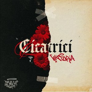 Cicatrici